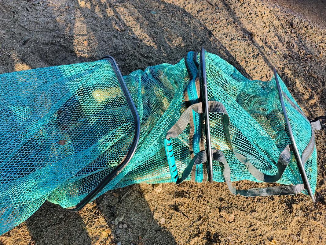 黑坑釣魚技巧_黑坑釣草魚用什么餌料最好 夏天_夏季黑坑選位調漂餌料