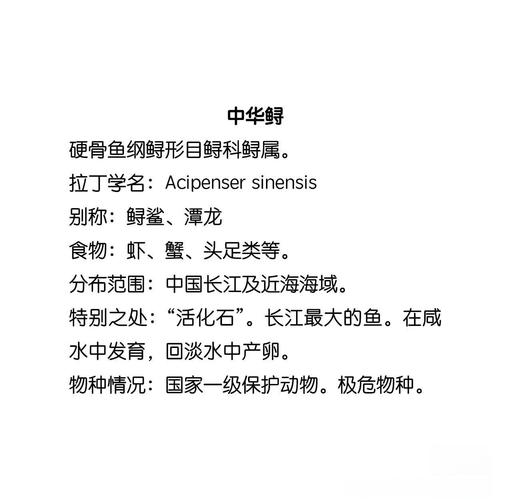 中華鱘活化石_中華鱘_中華鱘生活習性