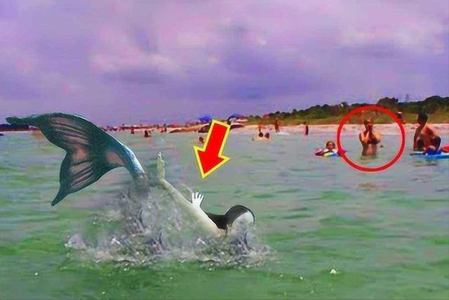 澳大利亞發現美人魚_美人魚起源和形象_美人魚目擊和發現記錄