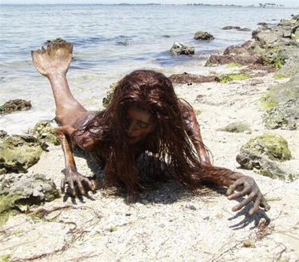 美人魚目擊和發現記錄_澳大利亞發現美人魚_美人魚起源和形象