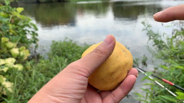 自然餌料釣鯉魚_池塘釣草魚用什么餌料最好_釣鯉魚用什么餌料最好