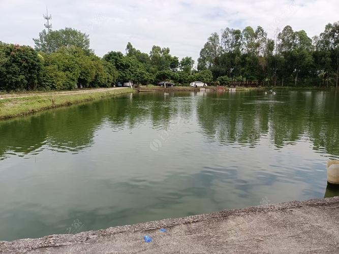 廣州釣魚農莊_廣州釣魚場介紹和地址_廣東釣魚酒店