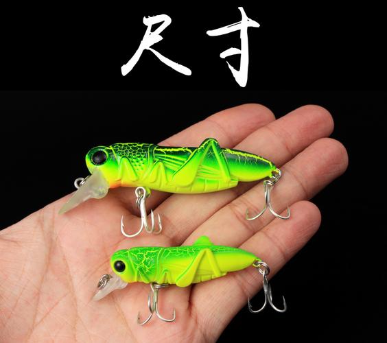 釣草魚蟲餌_螞蚱釣草魚效果_冬季釣草魚用什么餌料好用