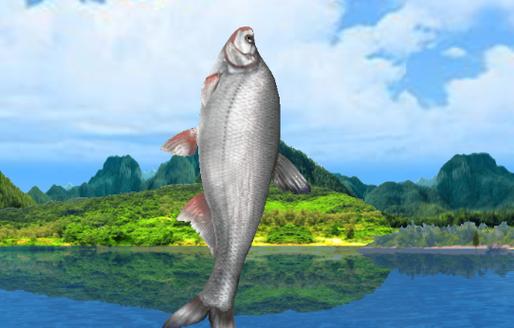 安卓 釣魚大師_沉浸式模擬釣魚手游_釣魚大師模擬器官方正版