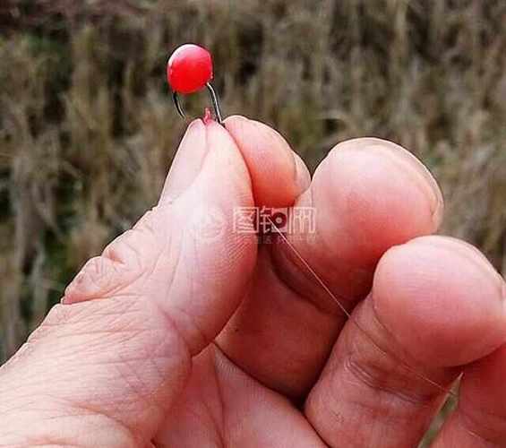 自制谷麥餌料_谷麥釣法_釣魚技巧大全之如何釣野窩