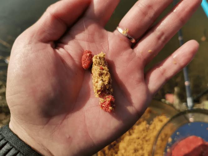 釣魚技巧大全之如何釣野窩_野釣安全區_找魚窩技巧