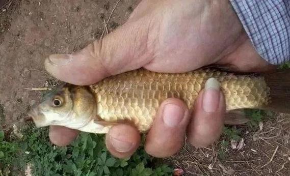 選擇合適的釣點臺釣_臺釣魚技巧_臺釣技巧