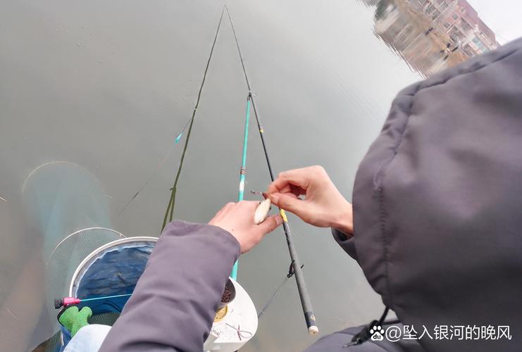 臺釣魚技巧_臺釣釣竿選擇技巧_傳統釣裝備使用