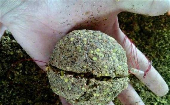 草魚糞便餌料_發酵餌料釣草魚_拋竿釣草魚用什么餌最好