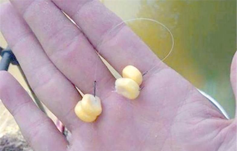 草魚釣浮打窩方法_釣草魚浮釣技巧_拋竿釣草魚用什么餌最好