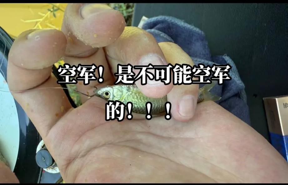秋季釣魚技巧_深水區釣點選擇_秋天釣魚技巧