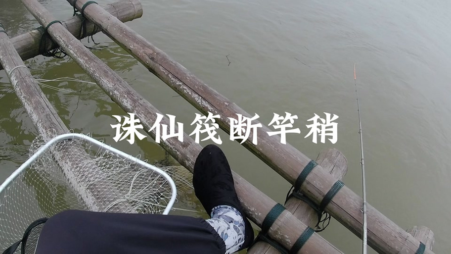 誅仙3怎么釣魚_誅仙2手游釣魚技巧_誅仙2手游釣魚攻略