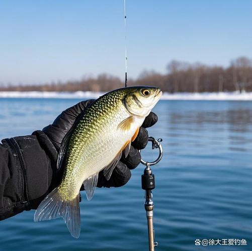 釣魚冬季可以打窩嗎_釣魚冬天能釣嗎_冬季可以釣魚嗎