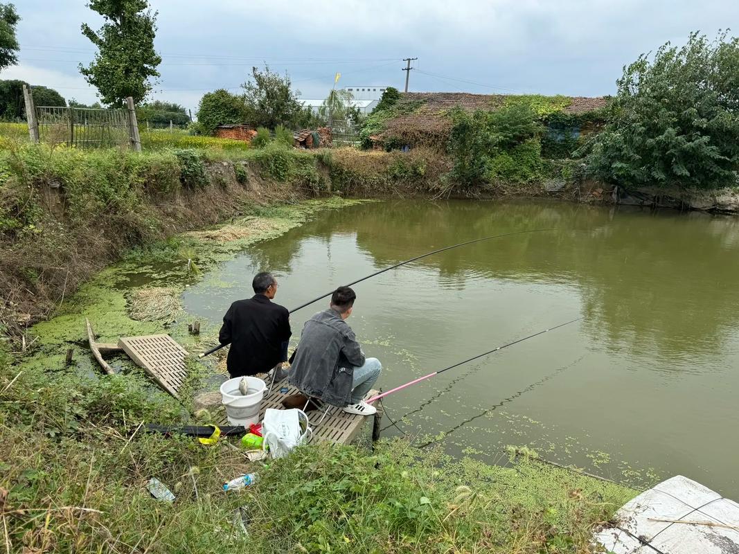 南寧釣魚吧_南寧釣魚網_廣西南寧釣魚論壇
