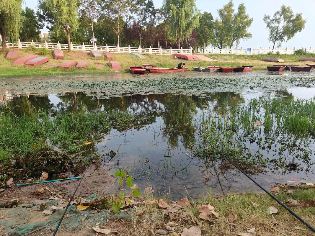 南寧釣魚網_廣西南寧釣魚論壇_南寧釣魚吧