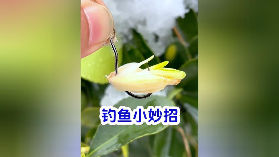 釣魚餌料選擇指南_老釣手廣譜餌推薦_老鬼餌料配方大全圖