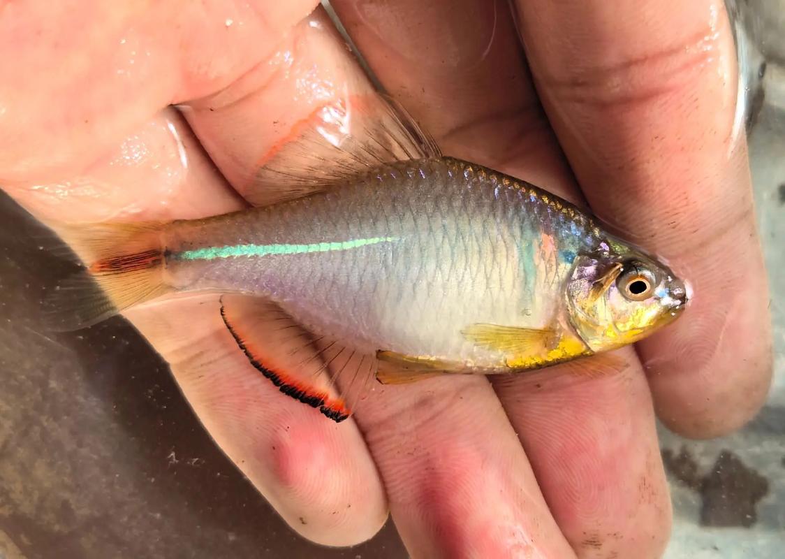 年輕人釣魚_深圳釣魚論壇_小物釣路亞