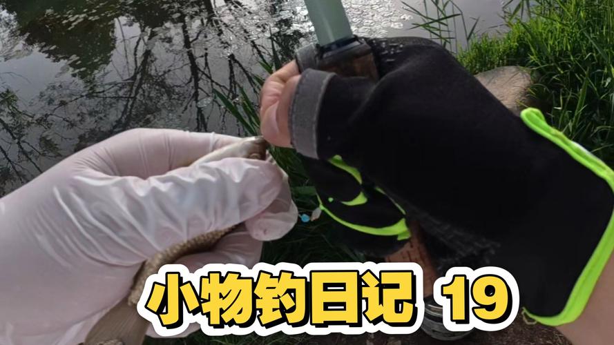 深圳釣魚論壇_年輕人釣魚_小物釣路亞