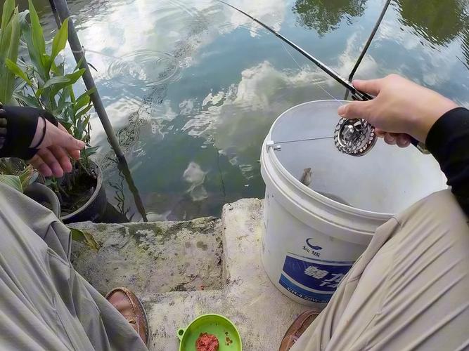 小物釣路亞_深圳釣魚論壇_年輕人釣魚