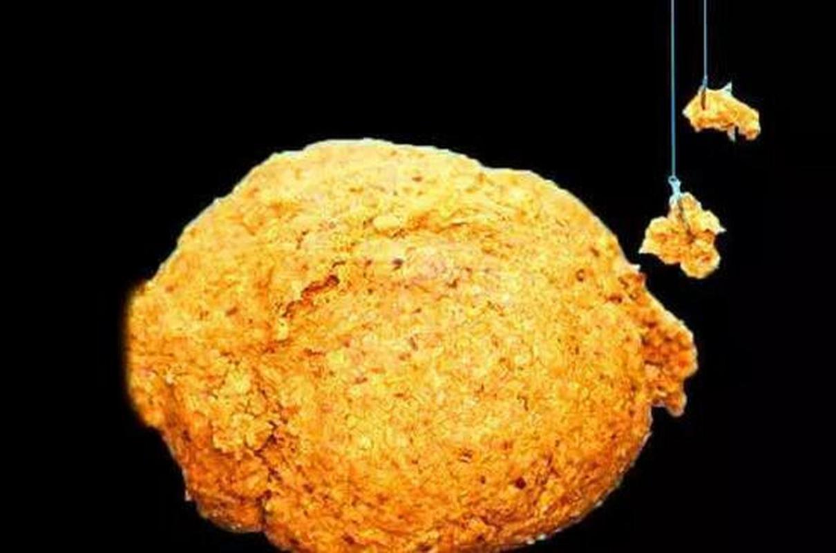 自制草魚爆護餌料_草魚餌料自制方法不用發酵_秋季草魚餌料配方