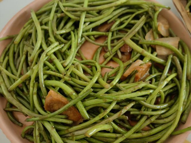 春季水庫草魚餌料配方_草魚餌料配方野釣秘方_大蒜草魚餌料制作教程