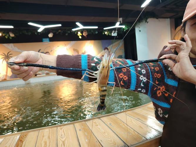 釣龍蝦技巧_龍蝦釣法步驟_釣蝦技巧