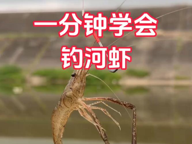 釣蝦技巧_釣龍蝦技巧_龍蝦釣法步驟