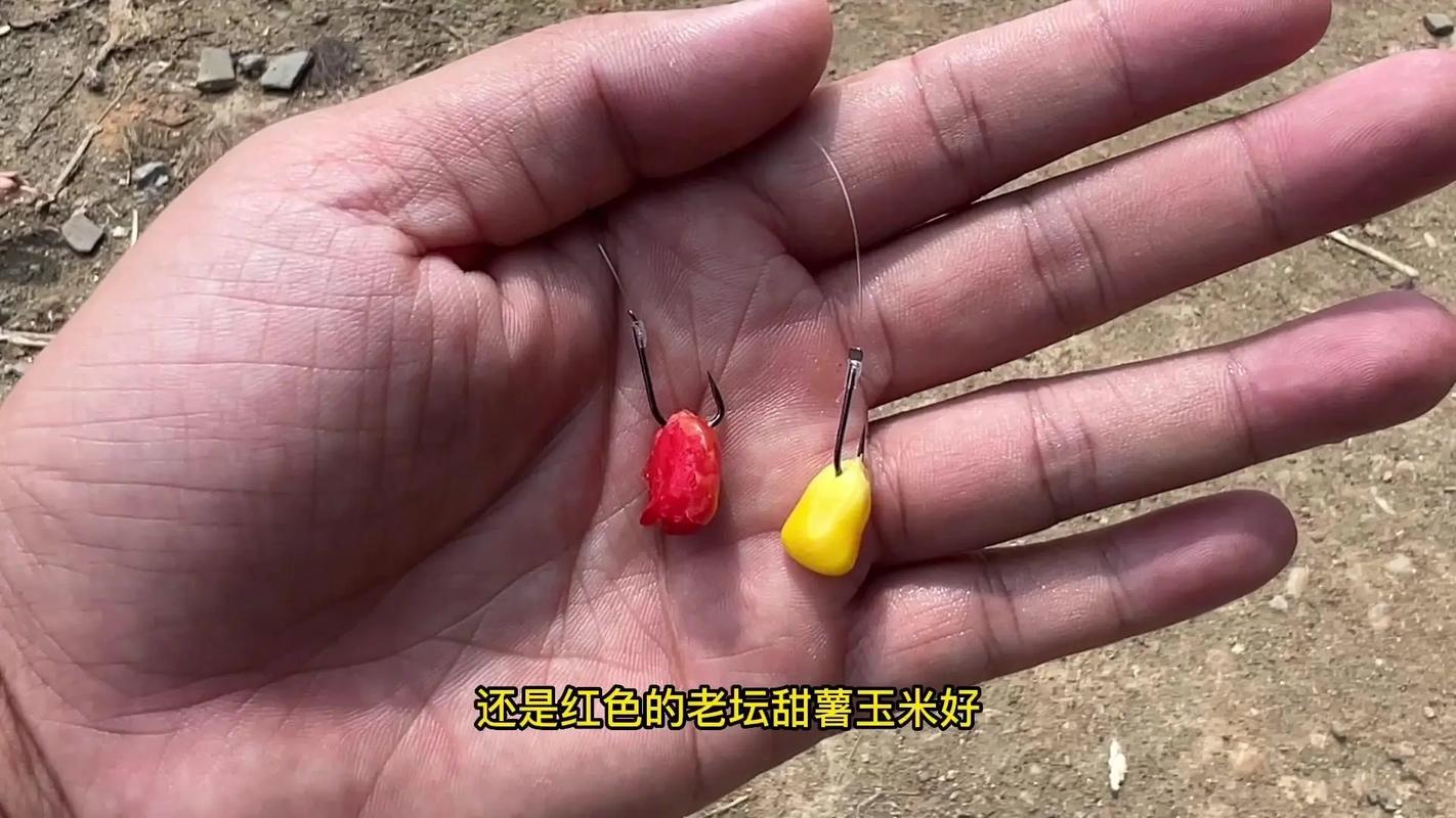 草魚餌料味型大全_釣草魚餌料調配方法_草魚喜歡的氣味香草香