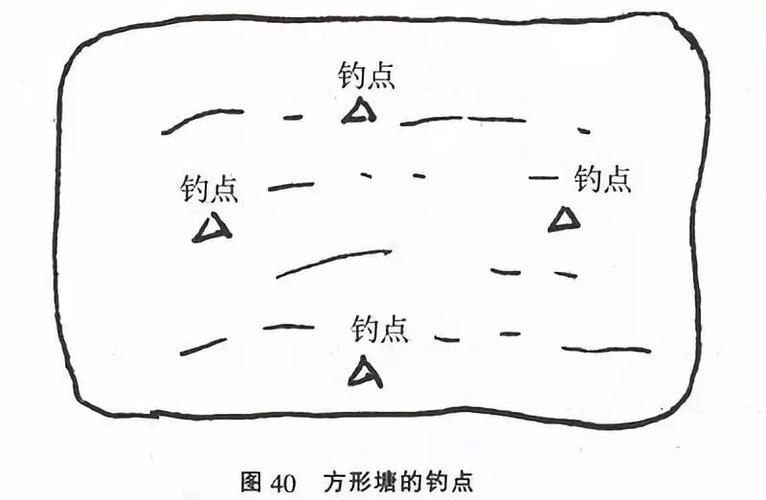 釣魚口訣 四季垂釣技巧 水質魚種口訣_釣魚達人