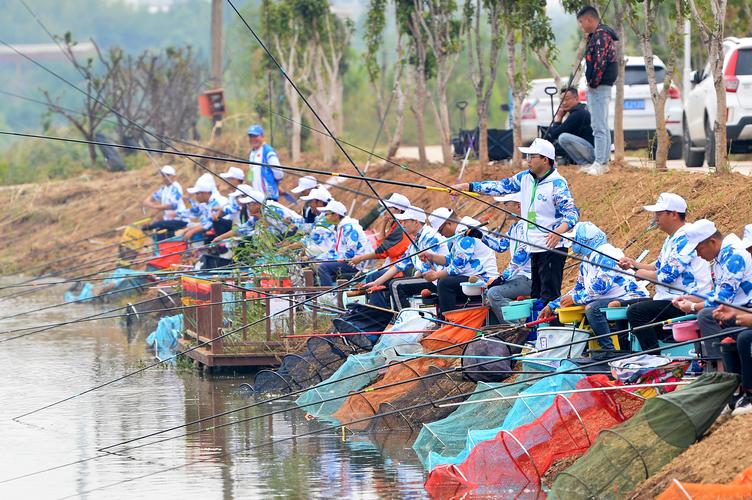 四海釣魚海釣玩家_四海釣魚官方網站下載_四海釣魚網官網下載