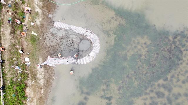 浙江嘉善螃蟹養殖魚塘墜落物調查_浙江嘉興魚塘的不明物體_嘉興嘉善魚塘不明物體事件