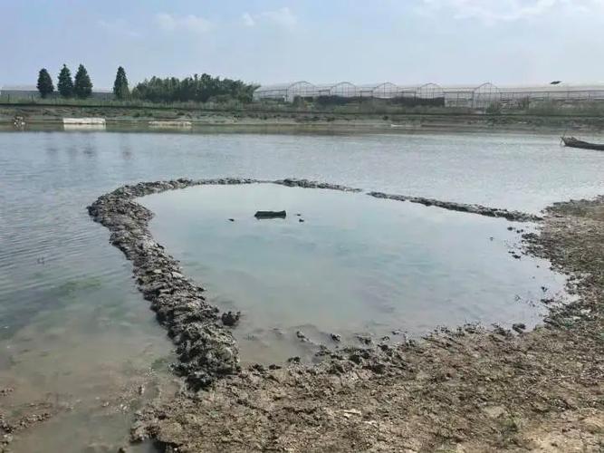 嘉興嘉善魚塘不明物體事件_浙江嘉善螃蟹養殖魚塘墜落物調查_浙江嘉興魚塘的不明物體