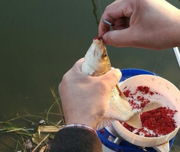 冬季釣魚降雪不釣_冬季釣魚四不釣_下雪釣魚