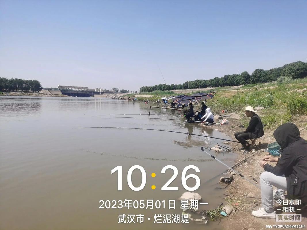 武漢海口閘釣魚_陽新海口閘釣魚_海口釣魚船家電話