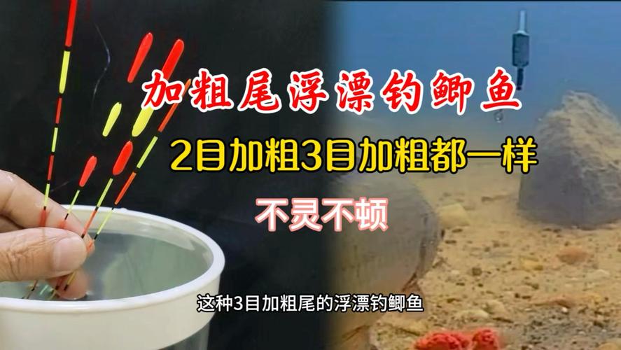 釣魚怎樣調浮漂視頻_加速度浮漂調漂方法_加粗尾浮漂春季釣法
