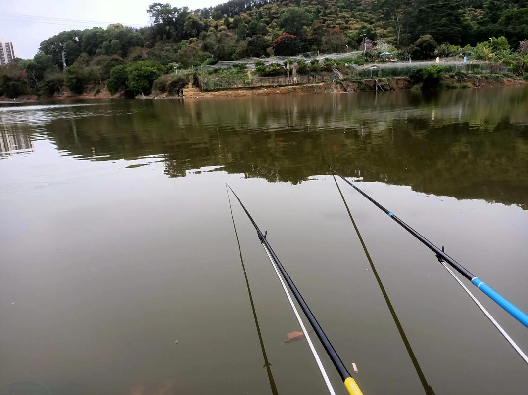 李大毛釣大青魚技巧_李大毛釣魚視頻2026_李大毛避雜魚釣大魚方法