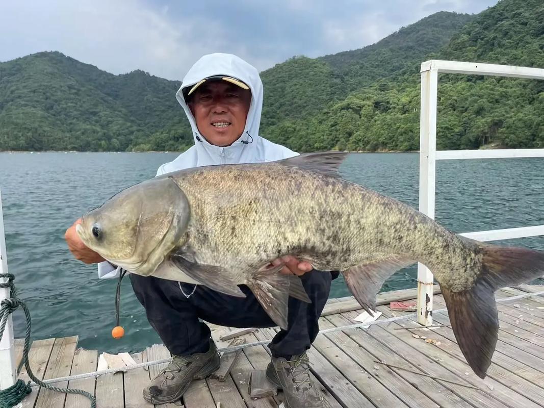 李大毛釣魚視頻2026_李大毛釣大青魚技巧_李大毛避雜魚釣大魚方法