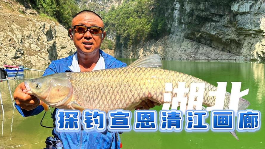 李大毛釣魚節目優酷_李大毛釣魚視頻2026_釣魚愛好者和李大毛