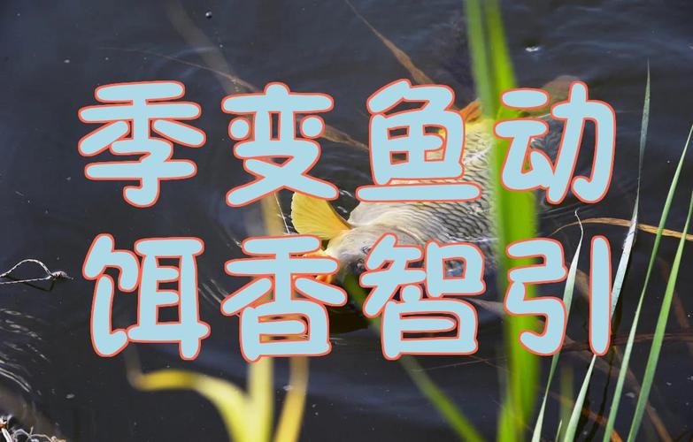 釣魚用餌技巧_春腥夏淡秋香冬濃_鯉魚餌料