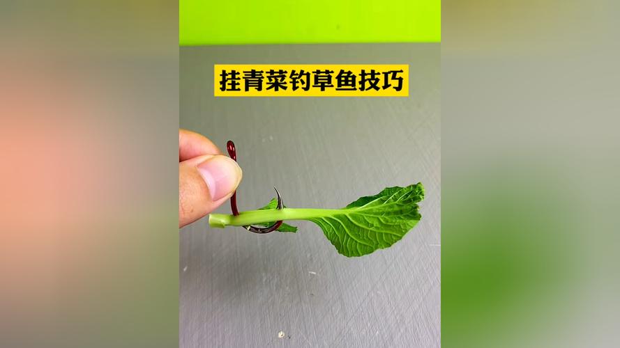 釣魚視頻 手桿釣魚技巧大全_草魚垂釣技巧_草魚習性及釣位選擇