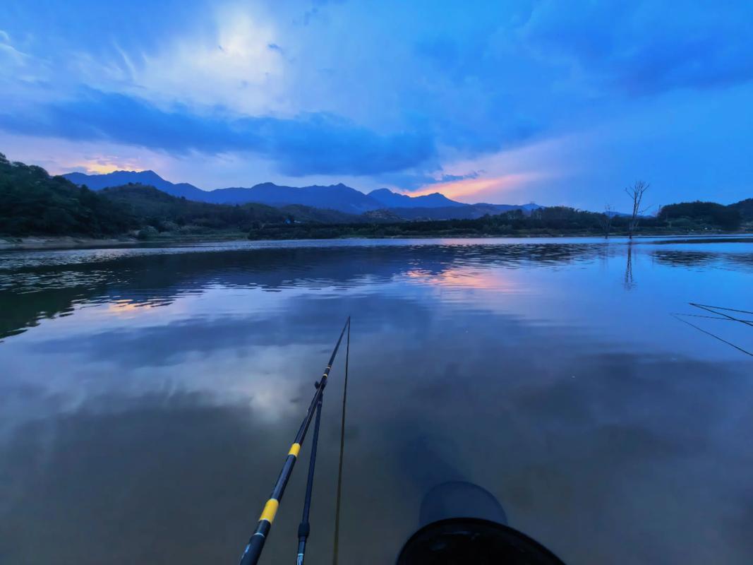 釣魚視頻 手桿釣魚技巧大全_手竿選擇技巧_玻璃鋼魚竿與碳素魚竿區別