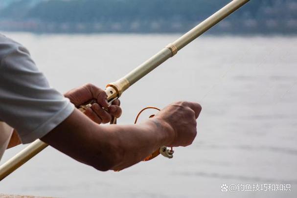 釣魚視頻 手桿釣魚技巧大全_玻璃鋼魚竿與碳素魚竿區別_手竿選擇技巧