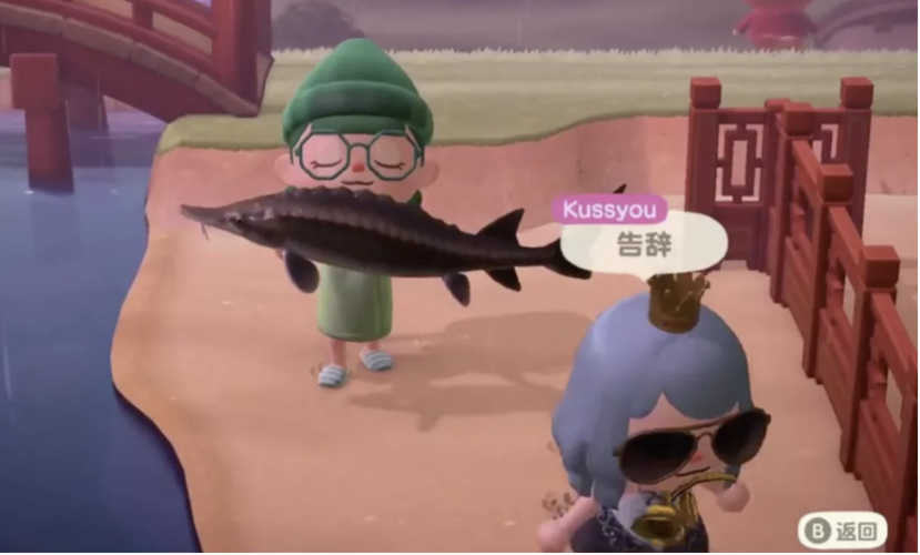 動物之森口袋露營特色功能_動物之森口袋露營攻略_動物之森釣魚