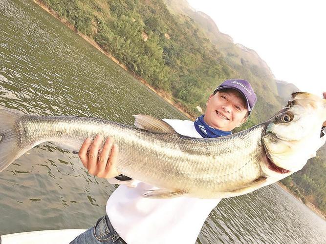 釣魚竿行業產業鏈_中國釣魚視頻_中國釣魚竿行業市場規模