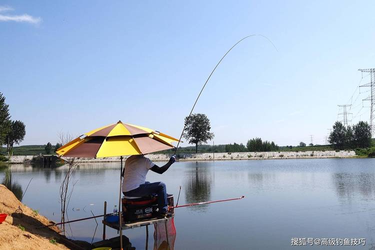 黑坑釣魚技巧_黑坑釣魚線組選擇_黑坑釣草魚用什么餌料好一點