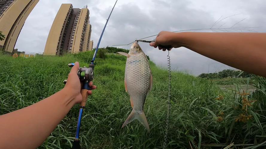 休閑釣魚場景裝備規則_休閑垂釣視頻_休閑釣魚玩法生態產業鏈