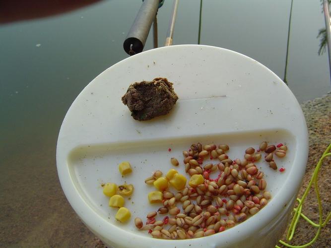 草魚常用餌料制作方法_沖釣草魚用什么餌料_釣草魚餌料配方