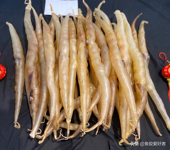 被稱為軟黃金的魚_軟黃金魚生成條件_軟黃金魚是什么魚