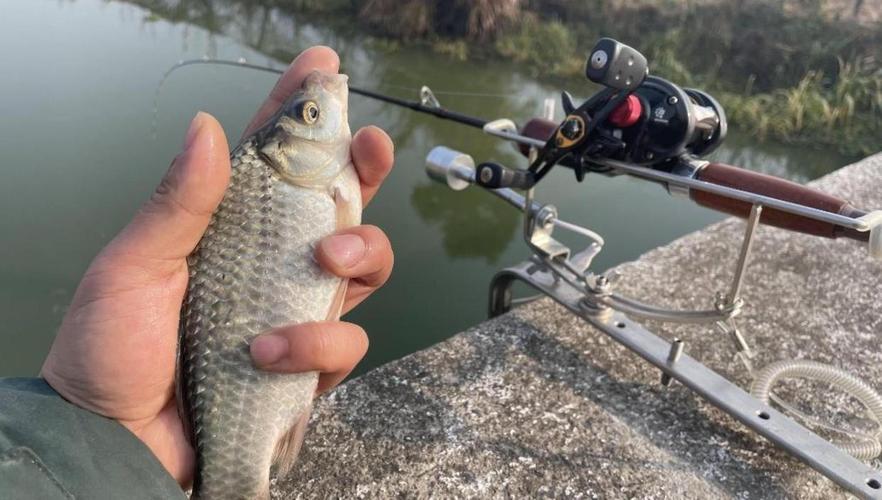 夏季釣魚釣深還是淺_夏季釣魚選擇釣深釣淺的技巧_四月釣魚釣深水還是淺水
