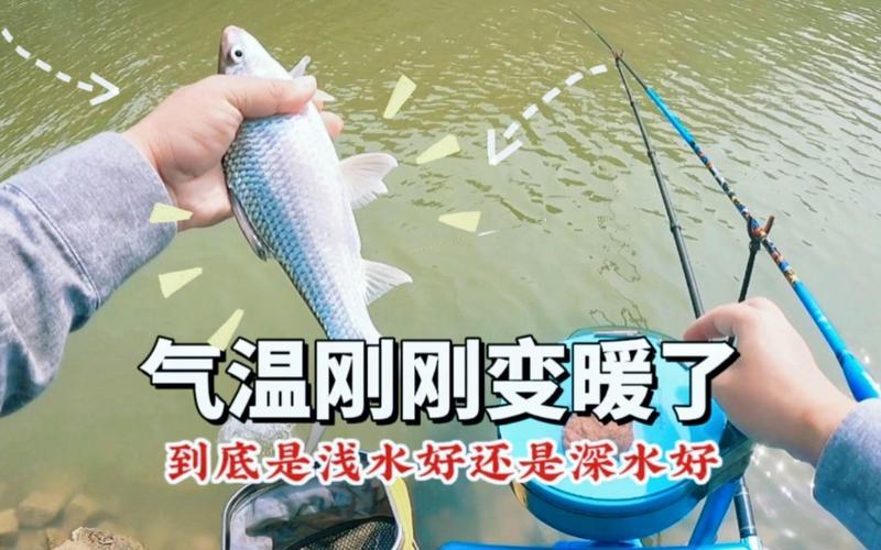 釣深釣淺策略_二月釣魚技巧_四月釣魚釣深水還是淺水